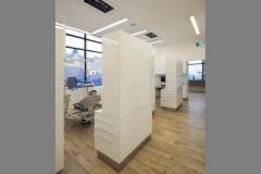 dental6